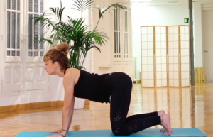 Segundo vídeo de Iniciación al yoga